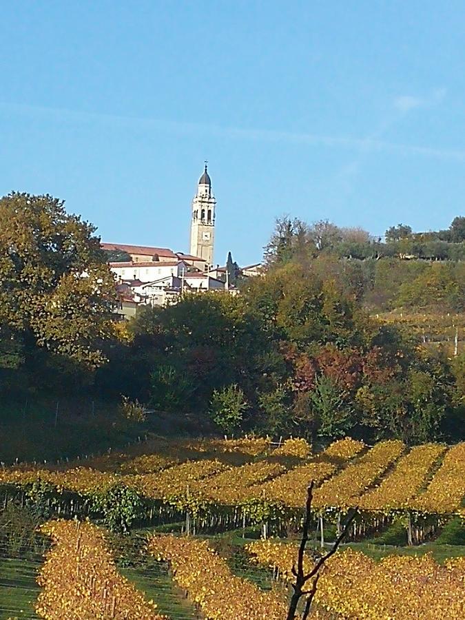 B&B Pontesello Colognola ai Colli Экстерьер фото