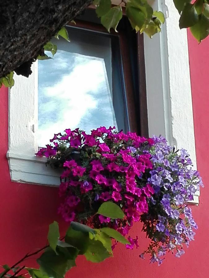 B&B Pontesello Colognola ai Colli Экстерьер фото