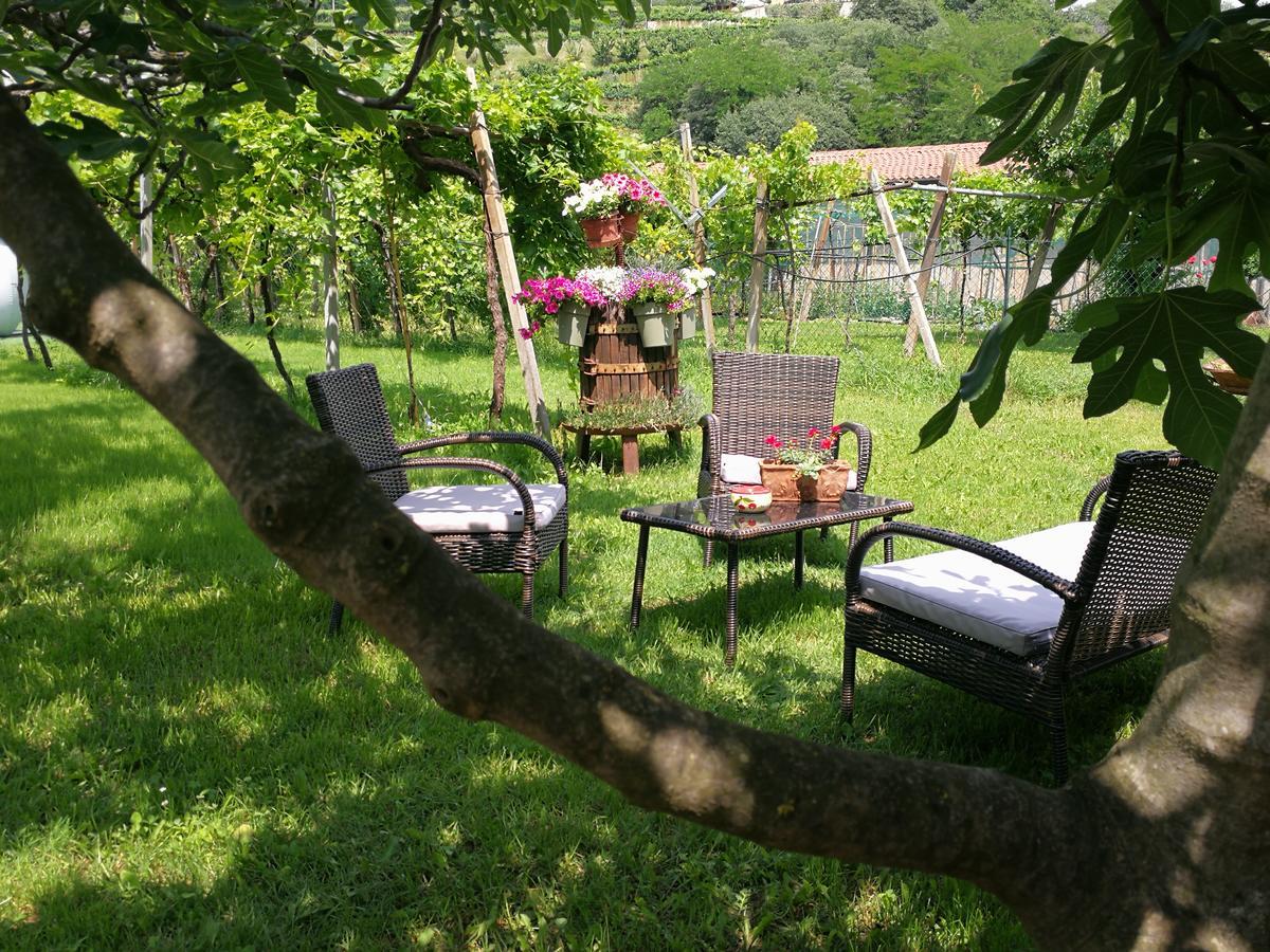 B&B Pontesello Colognola ai Colli Экстерьер фото